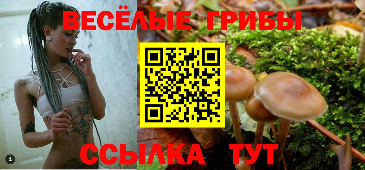 Псилоцибиновые грибы ЛСД Белорецк